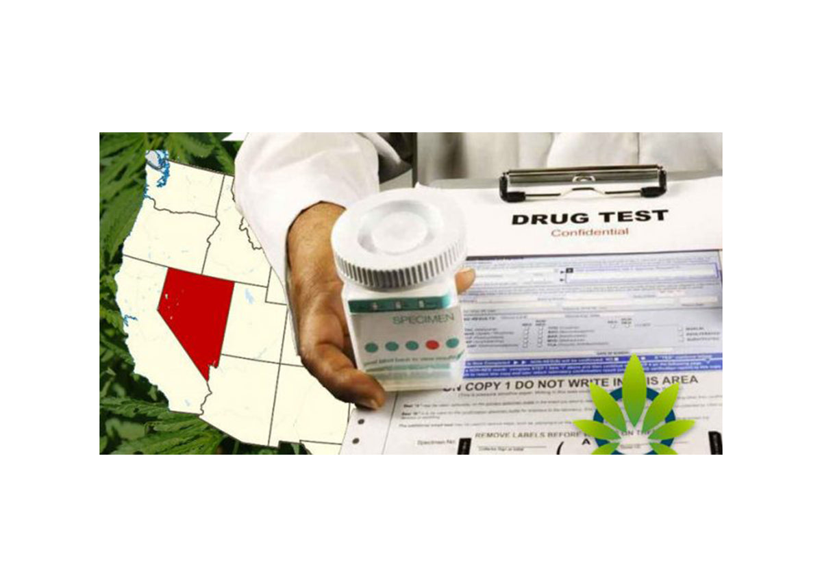 AB 132 Nevada Bans PreEmployment Screening for Marijuana — State and