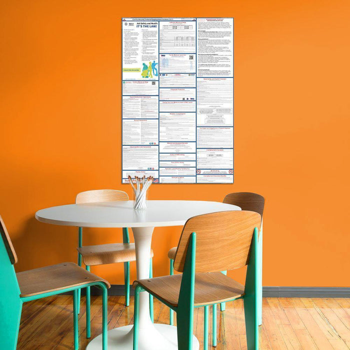 PREORDER - Georgia State and Federal Labor Law Poster 2026