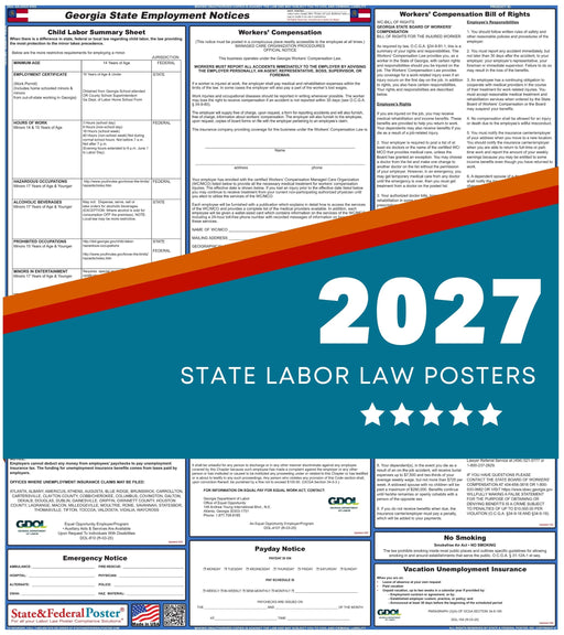 Georgia State Labor Law Poster 2027 - State and Federal Poster