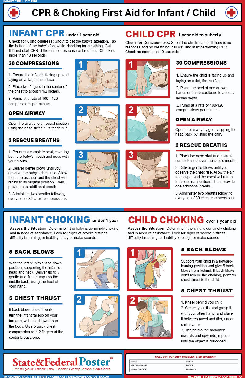 CPR & Choking First Aid for Infant / Child — State and Federal Poster