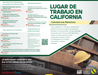 California Workplace Know Your Rights - State and Federal Poster