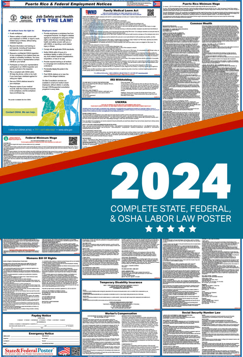Puerto Rico Digital Labor Law Poster 2024