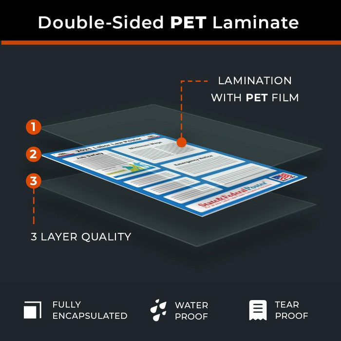 PREORDER - California State and Federal Labor Law Poster 2025