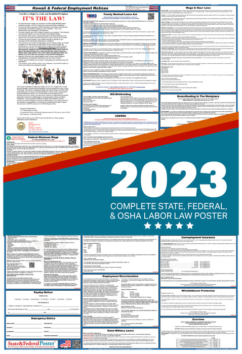 Hawaii State and Federal Labor Law Poster 2023